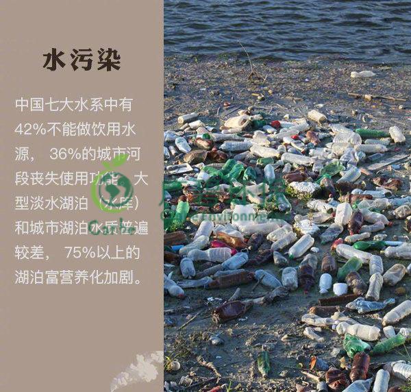 世界地球日 我們能為地球做些什么？(圖2)