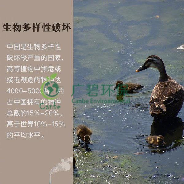 世界地球日 我們能為地球做些什么？(圖6)