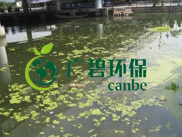城市黑臭河道如何治理？河道黑臭水體治理思路(圖3)