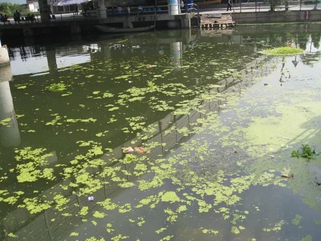 城市黑臭河道如何治理？河道黑臭水體治理思路
