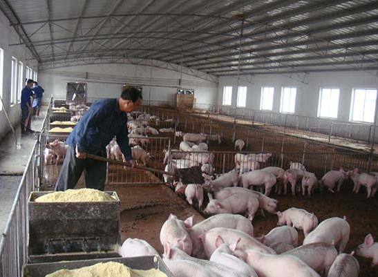 什么是養(yǎng)殖廢水？養(yǎng)殖廢水處理工藝