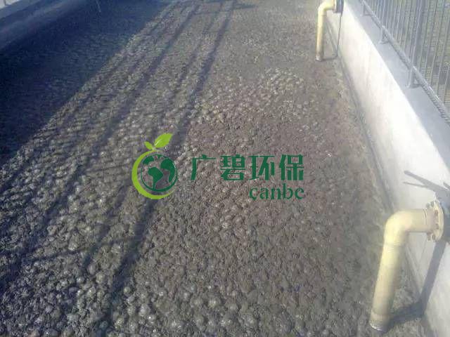 污泥發(fā)黑是什么原因造成？污泥發(fā)黑經(jīng)驗(yàn)分享(圖1)