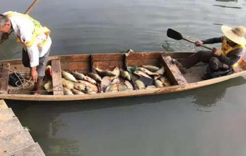 廣州旺旺食品廢水直排，永和河大量魚類死亡