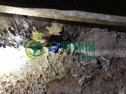 廣州旺旺食品廢水直排，永和河大量魚(yú)類(lèi)死亡(圖4)