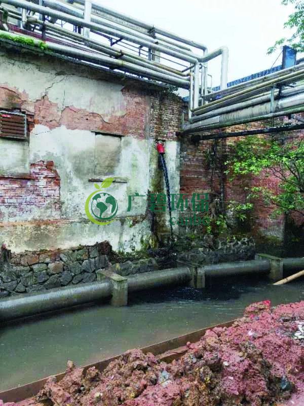 廣州海珠有污水直排河涌，3名涉案人員被行政拘留(圖1)